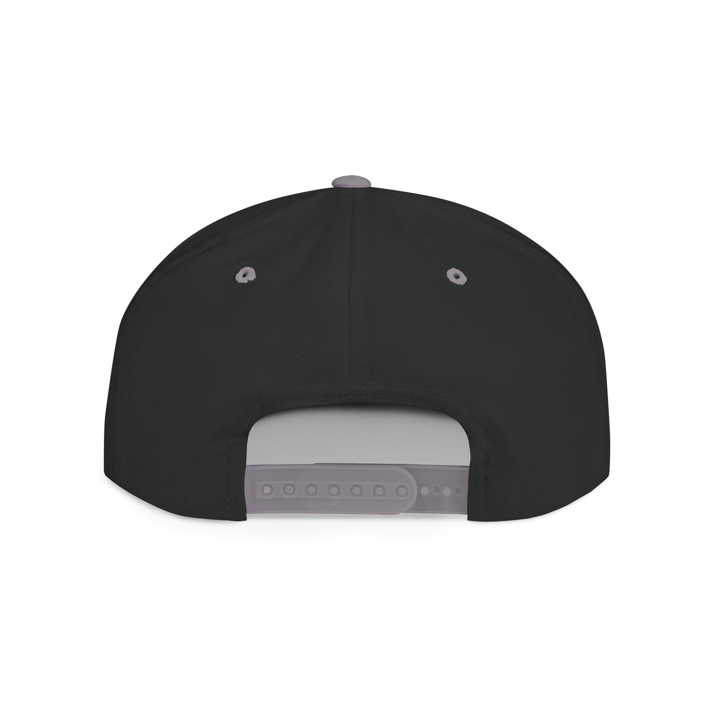 Salt & Light Snapback