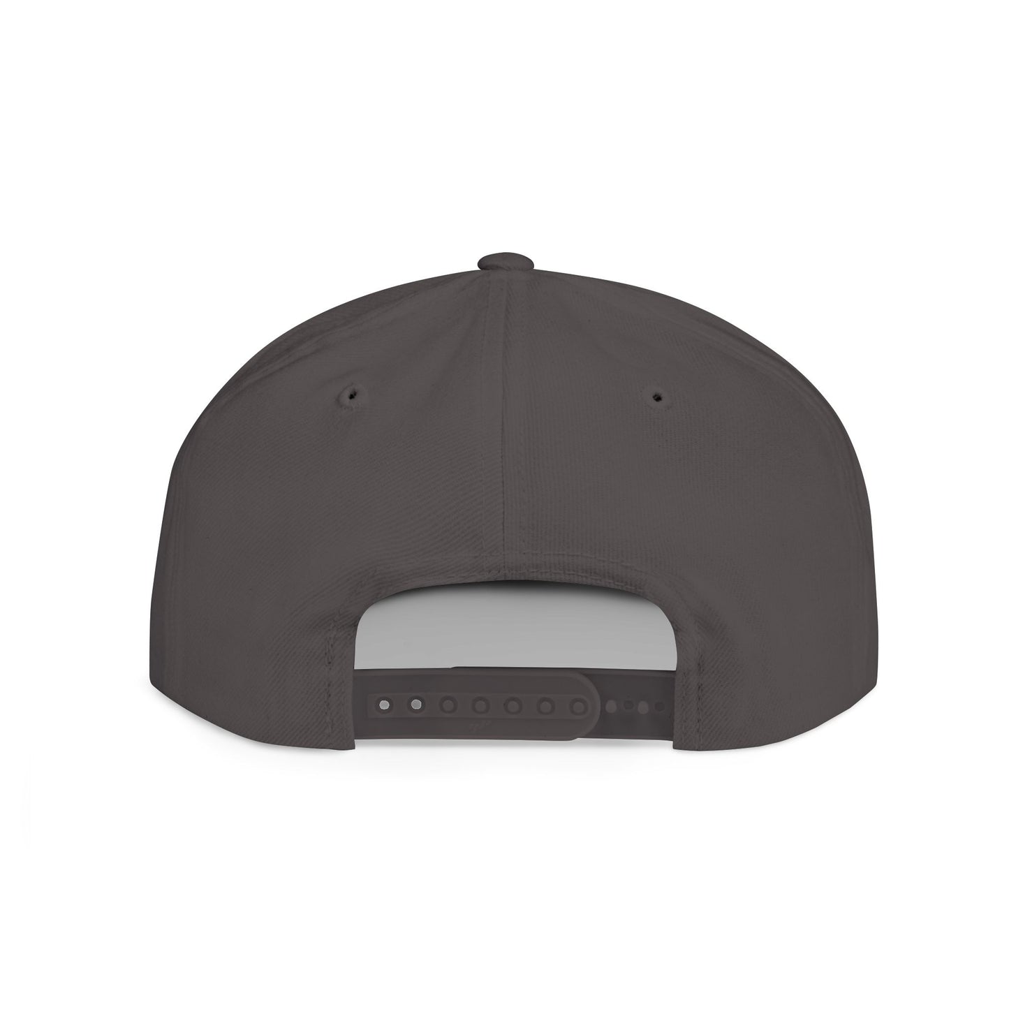 Salt & Light Snapback